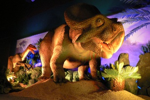 Protoceratops and Velociraptor